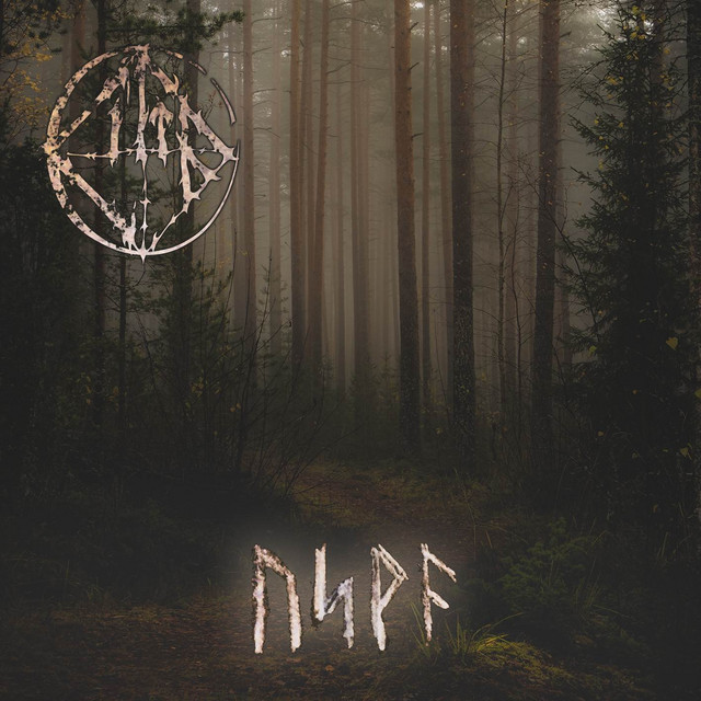 Usva cover art