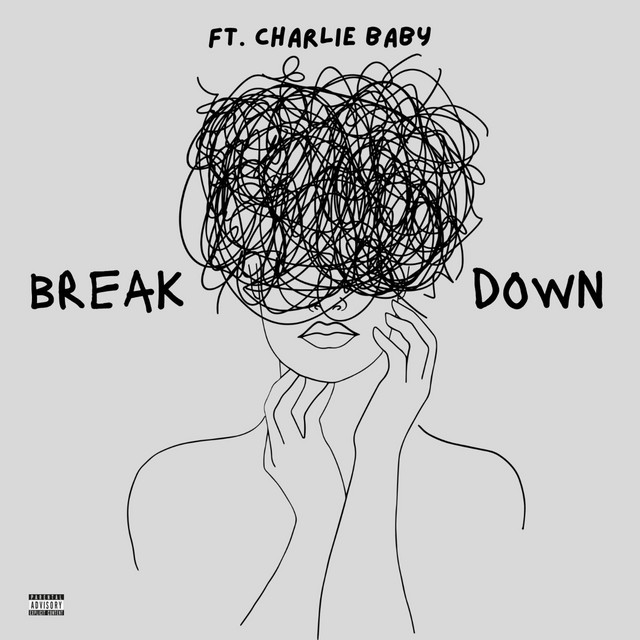 break-down cover art