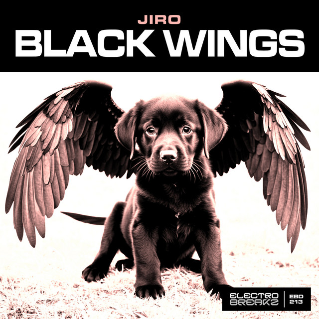 Black Wings album art