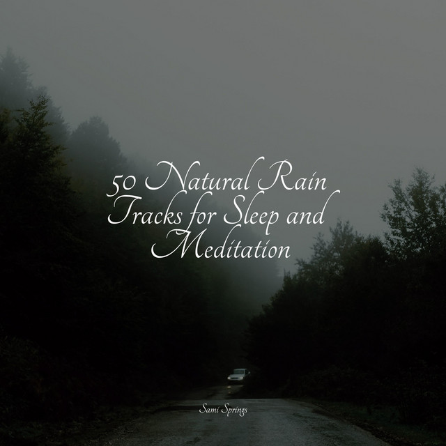 50 Natural Rain Tracks for Sleep and Meditation - Album by Raindrops ...