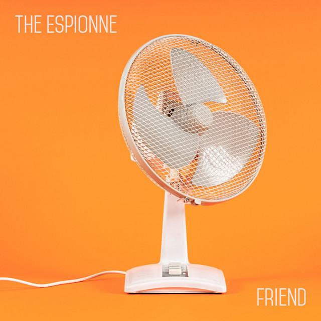 Friend cover