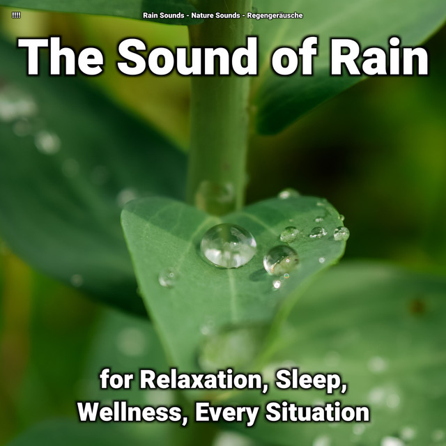 !!!! The Sound of Rain for Relaxation, Sleep, Wellness, Every Situation cover art