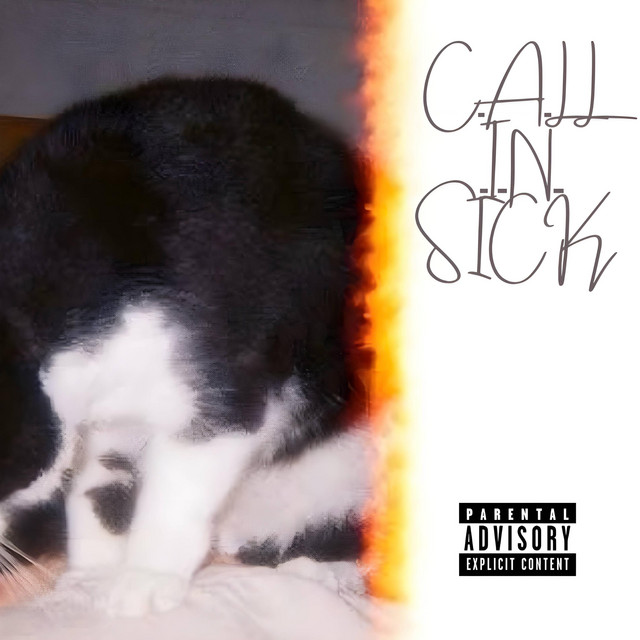 CALL IN SICK cover art