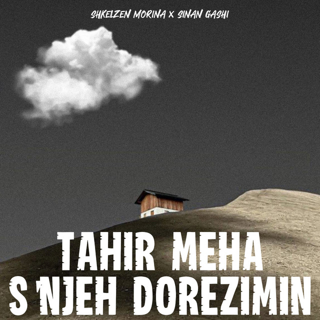 Tahir Meha s'njeh dorezimin