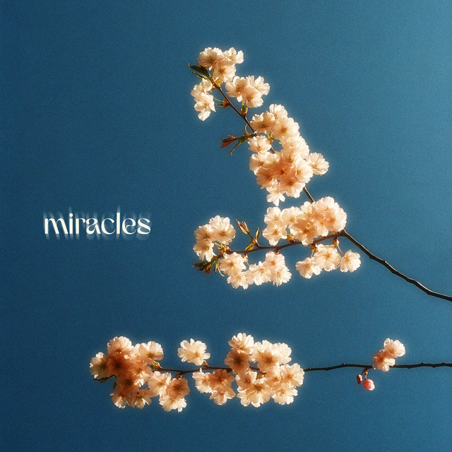 Обкладинка: Miracles — Winter Kid