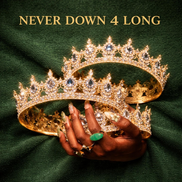 NEVER DOWN 4 LONG cover art