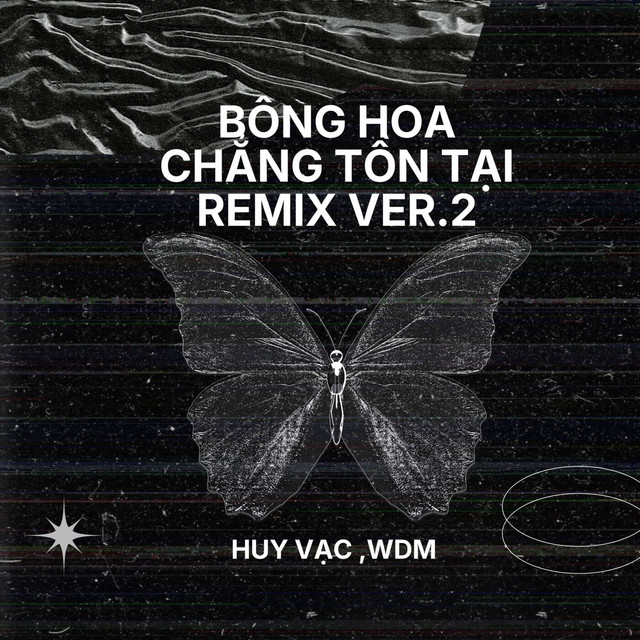 Bông Hoa Chẳng Tồn Tại (Remix Ver.2)