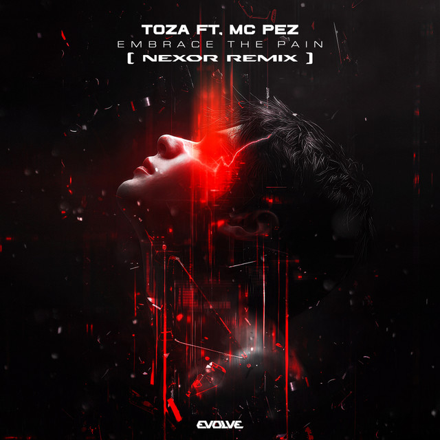 EMBRACE THE PAIN (Nexor Remix) - Single by TOZA | Spotify