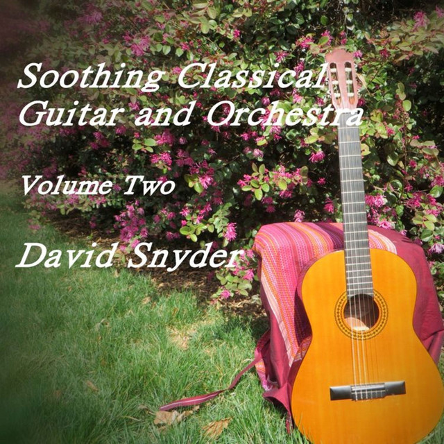 Soothing Classical Guitar and Orchestra, Vol. 2 cover art