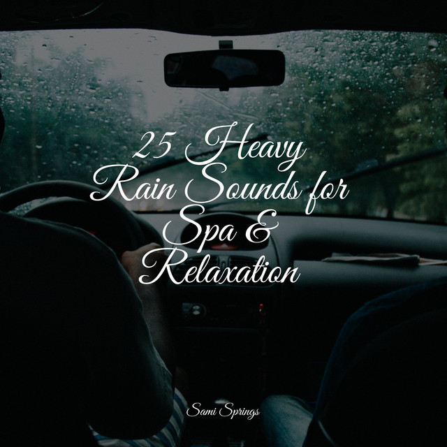 25 Heavy Rain Sounds for Spa & Relaxation - Album by Sleep Makers ...