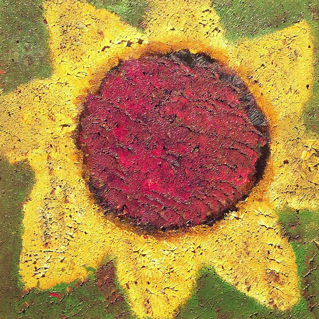 Sunflower cover art
