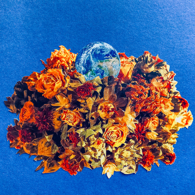 Small World cover art