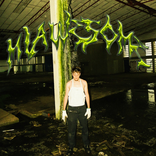 Miawesome cover art