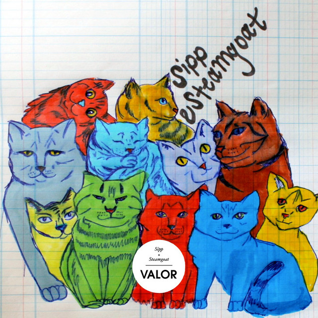 Valor cover