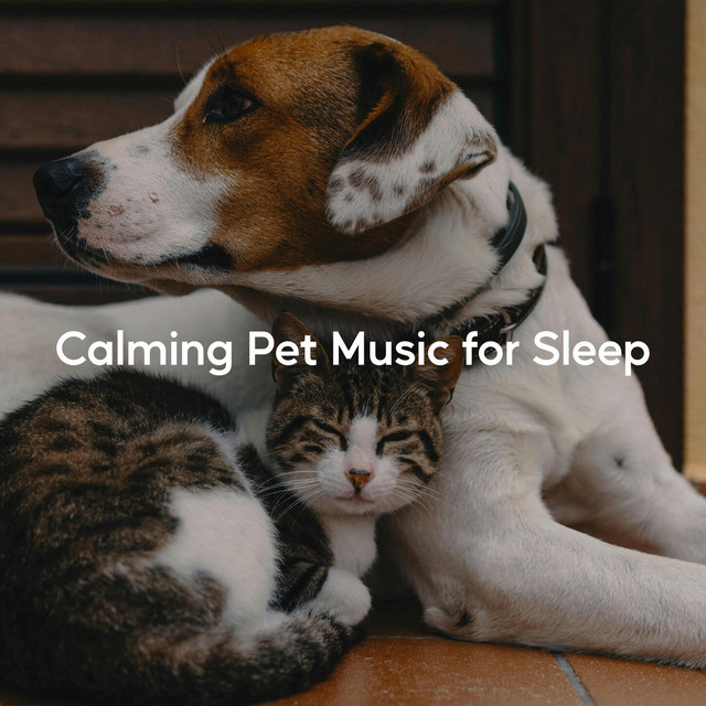 Calming Pet Music for Sleep album image