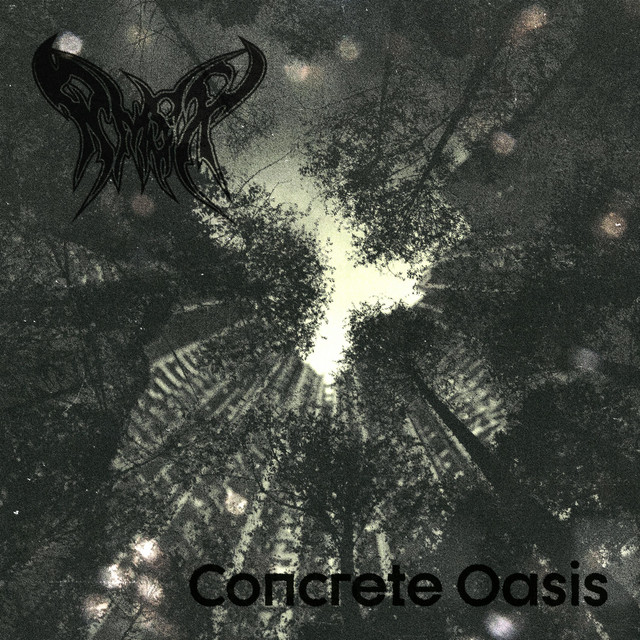 Обкладинка: Concrete Oasis — RMSX
