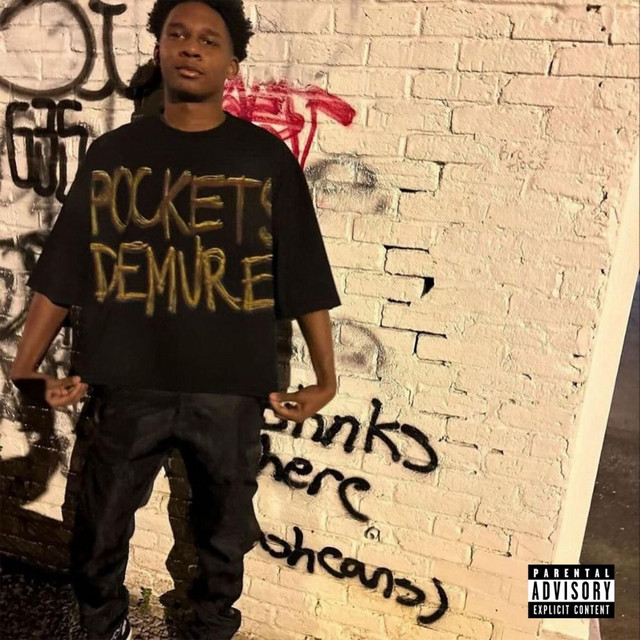 Pockets Demure cover art