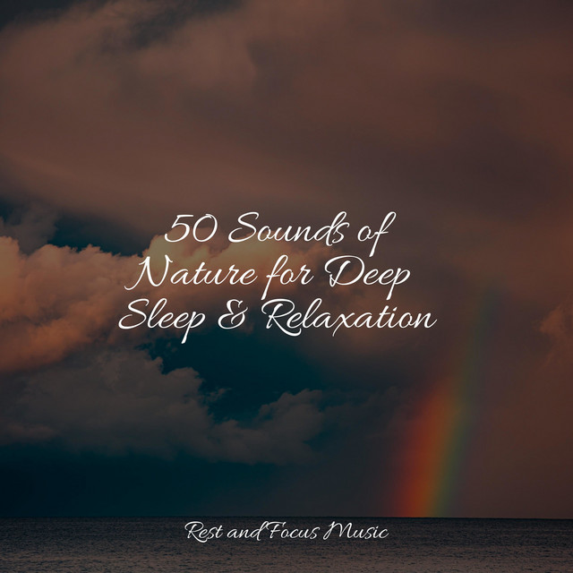 50 Sounds of Nature for Deep Sleep & Relaxation - Album by Namaste Yoga ...