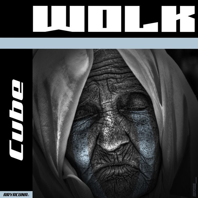 Cube cover art