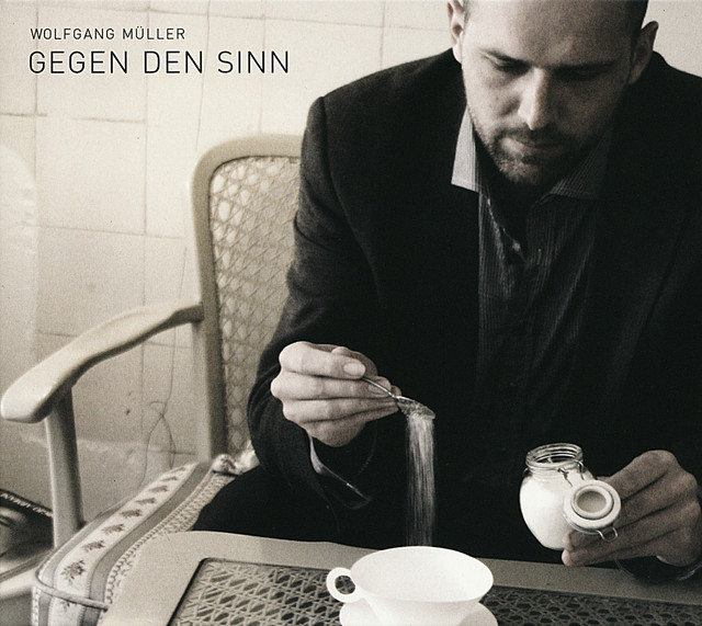 Gegen den Sinn cover art