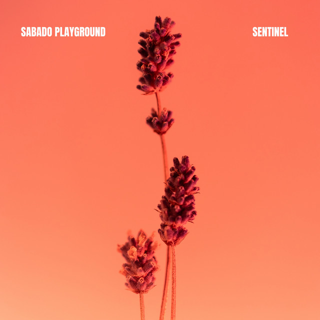 Sentinel cover