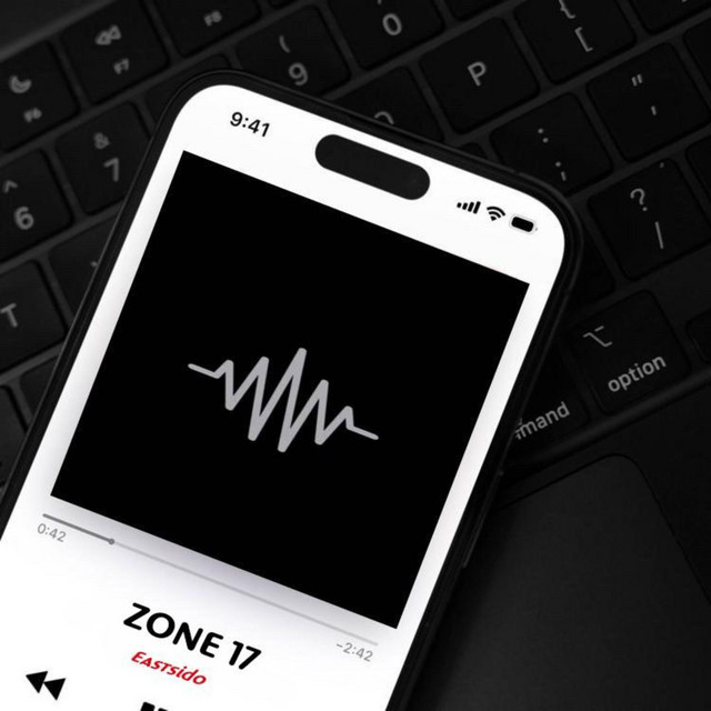 ZONE 17 cover art