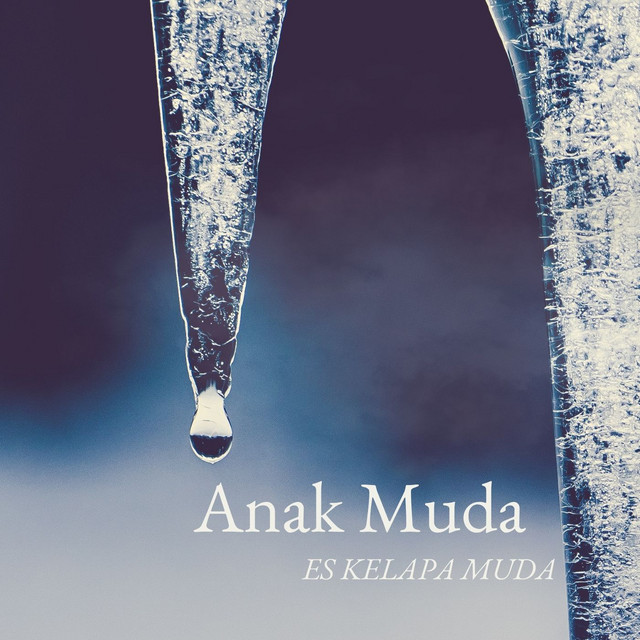 Anak Muda cover art