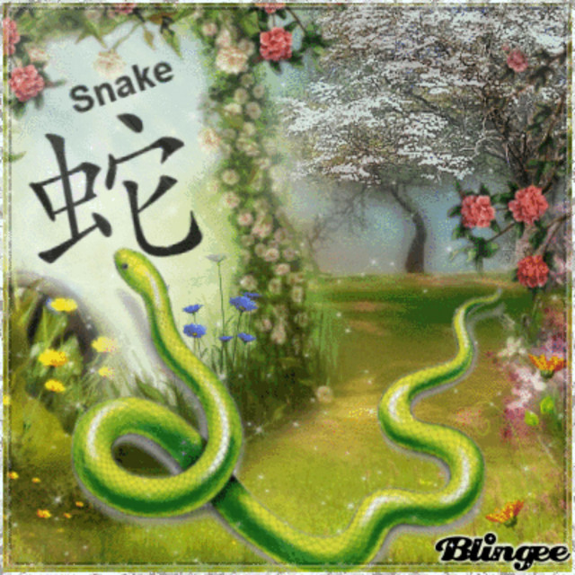 snakes cover art