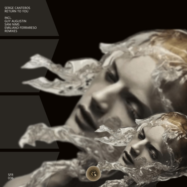 Return to You - Sani Nims Remix cover art