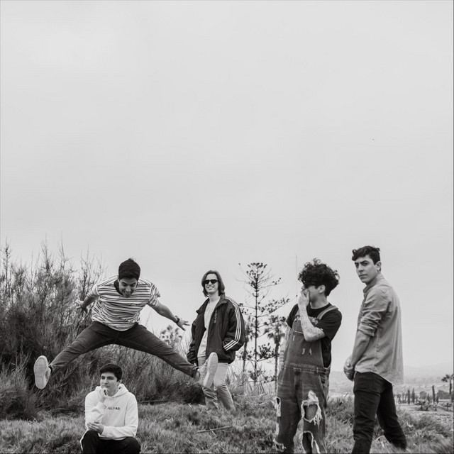 NO APRENDIMOS NADA cover art