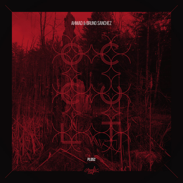 Witchcult cover art