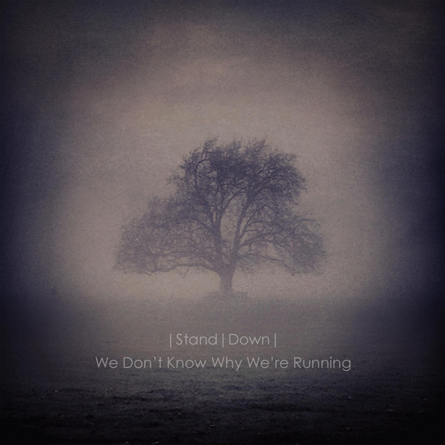 We Don't Know Why We're Running cover