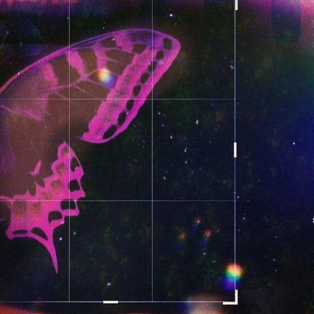 VELVET ECHO cover art