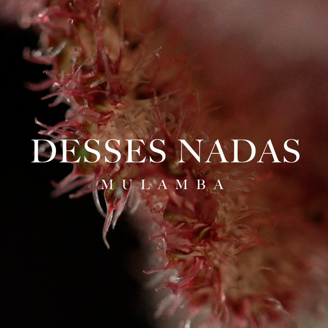 Desses Nadas cover art