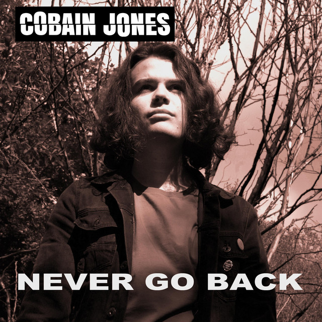 Never Go Back cover