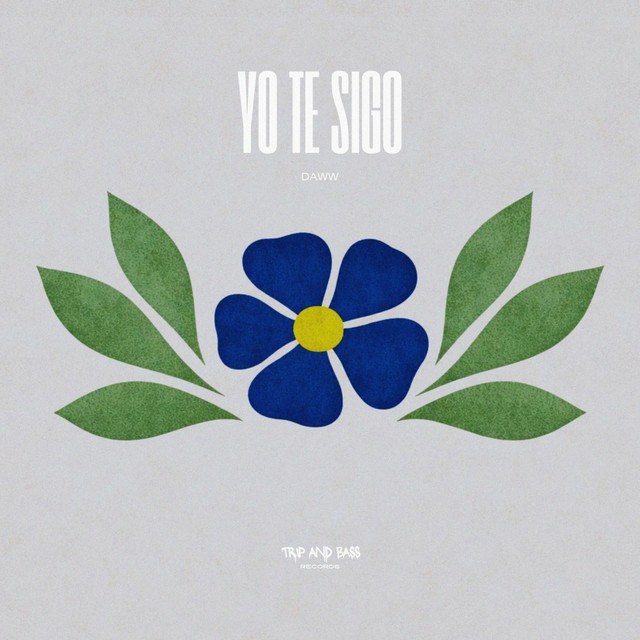 Yo Te Sigo