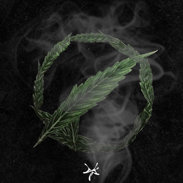 HIGH ASF FREESTYLE