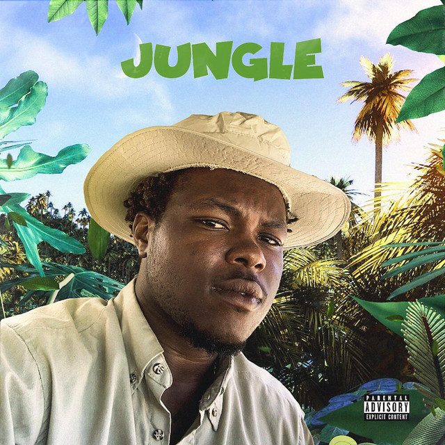 Jungle cover art