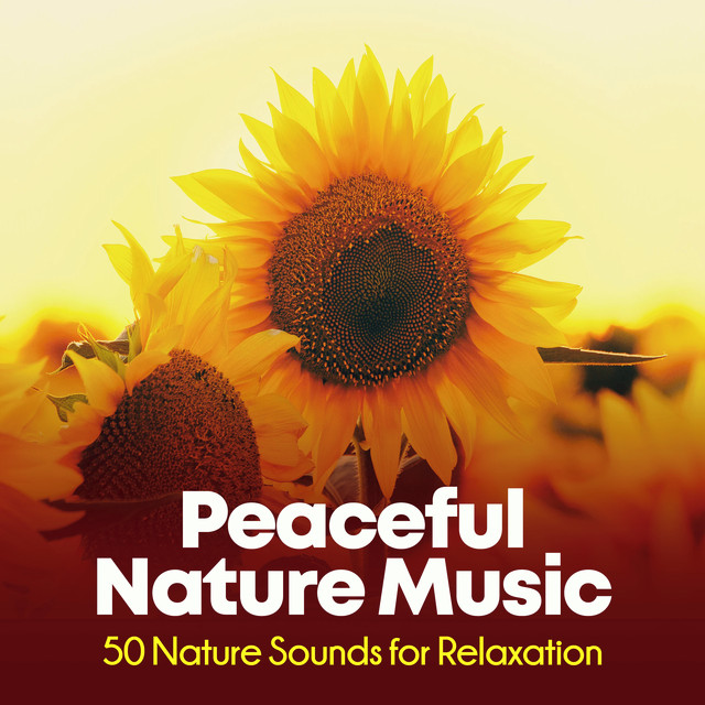Peaceful Nature Music: 50 Nature Sounds for Relaxation - Album by ...