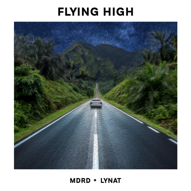 Flying High cover art