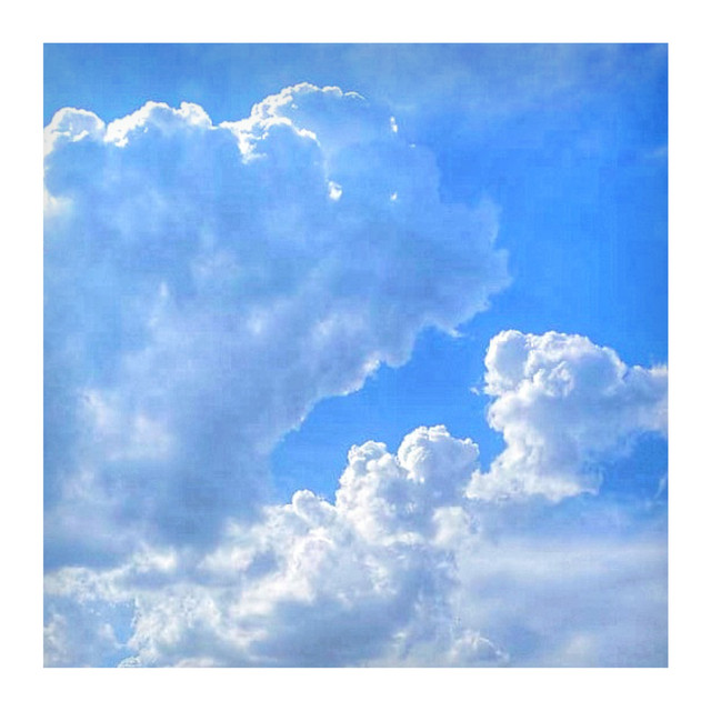 Dream