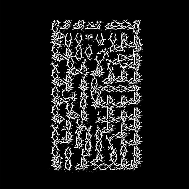 The Thorned Maze cover art