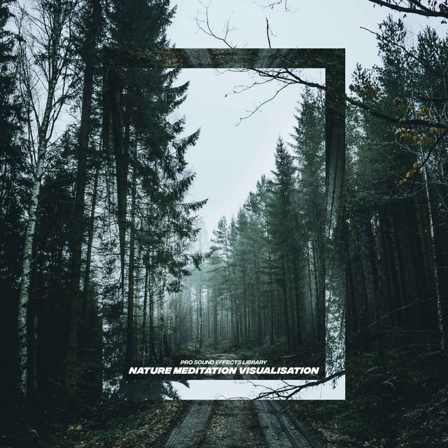 Nature Meditation Visualisation - Album by Pro Sound Effects Library ...