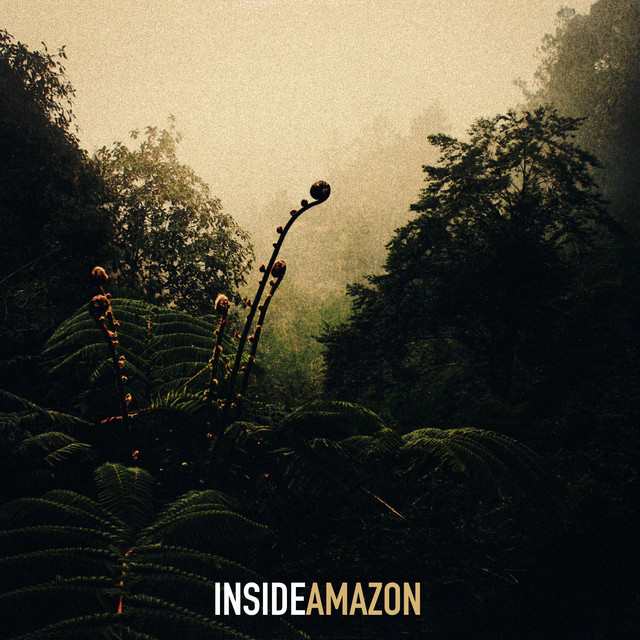 Inside Amazon cover art