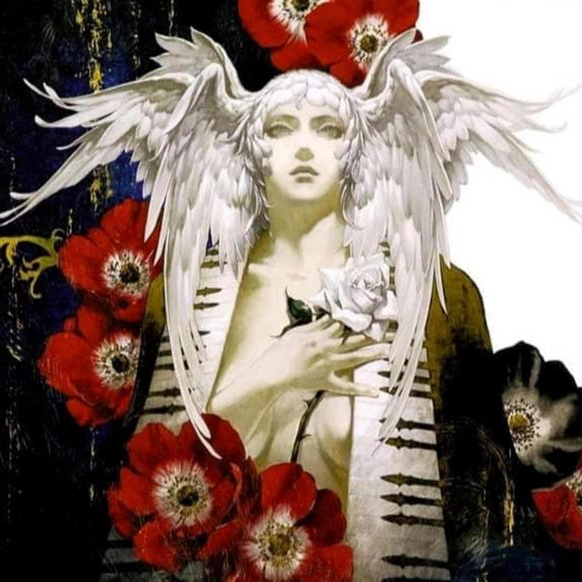 Life cover art