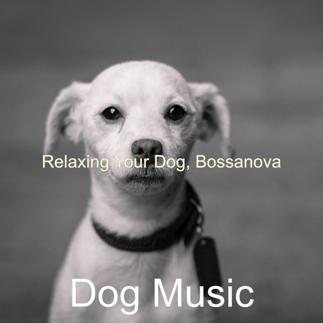 Relaxing Your Dog, Bossanova cover art
