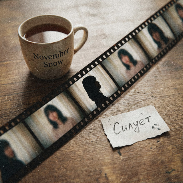 Обкладинка: Силует — November Snow
