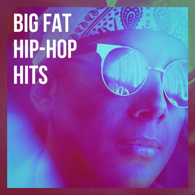 Big Fat Hip-Hop Hits cover art