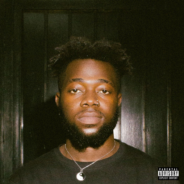 Passion is a Luxury cover art