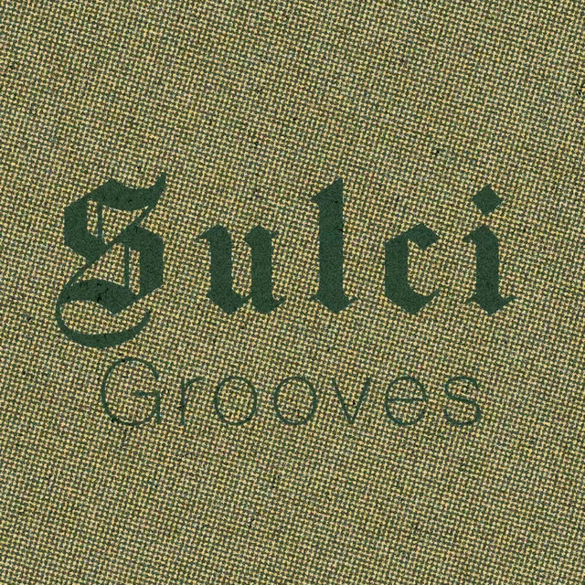 Sulci Grooves cover art